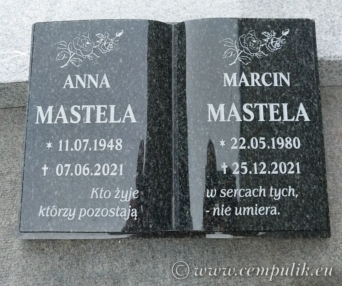 książka granitowa impala anna