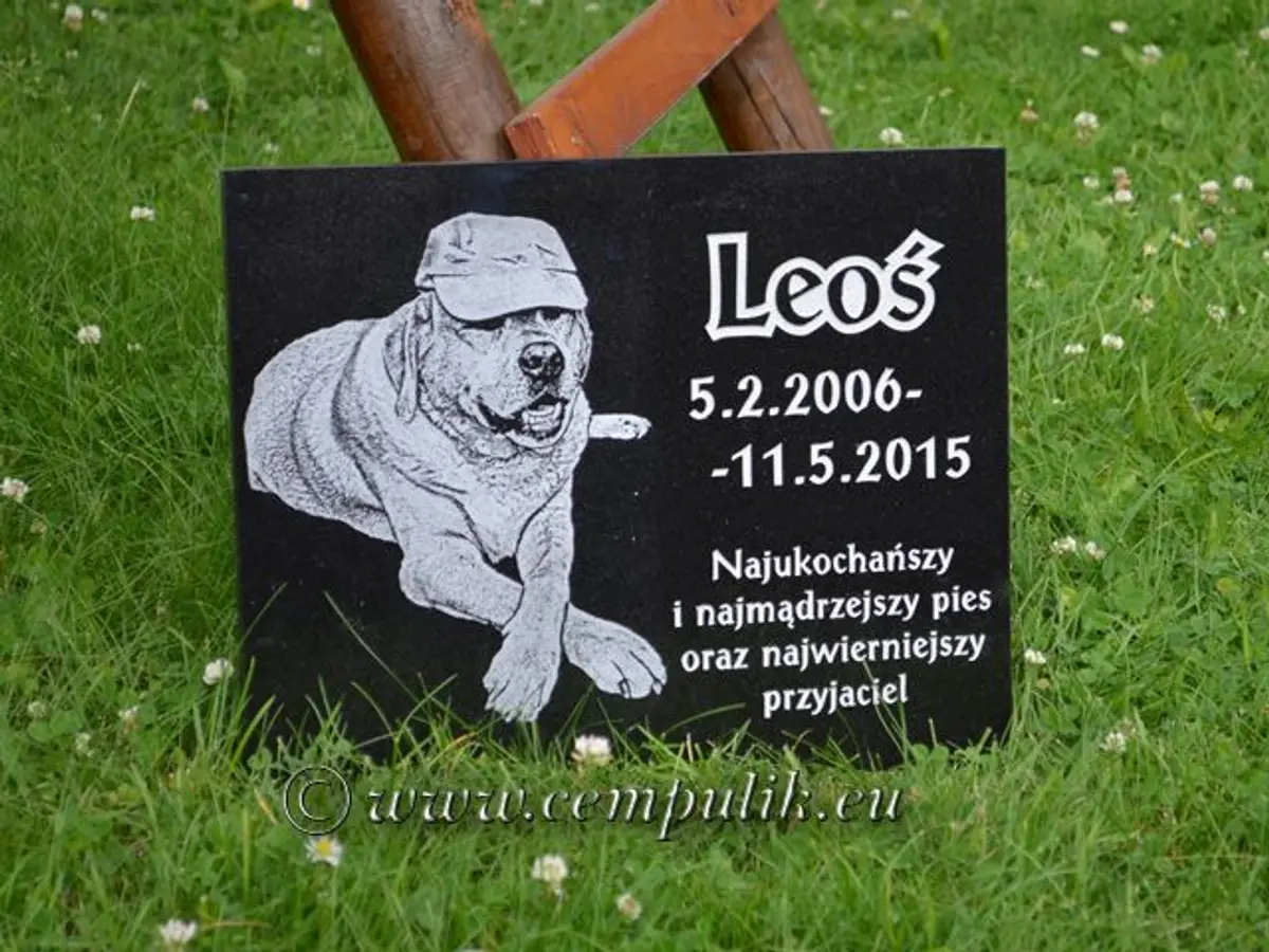 Płyta z wizerunkiem i napisem 35x25