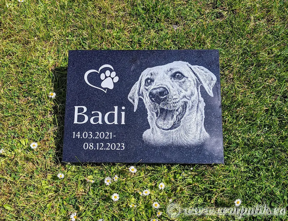 Pet Memorial Plaque - Engraved Portrait of Your Pupil