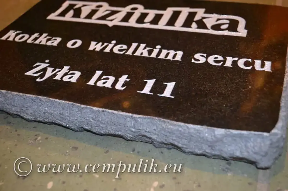 czarna płyta łupana z napisem kota