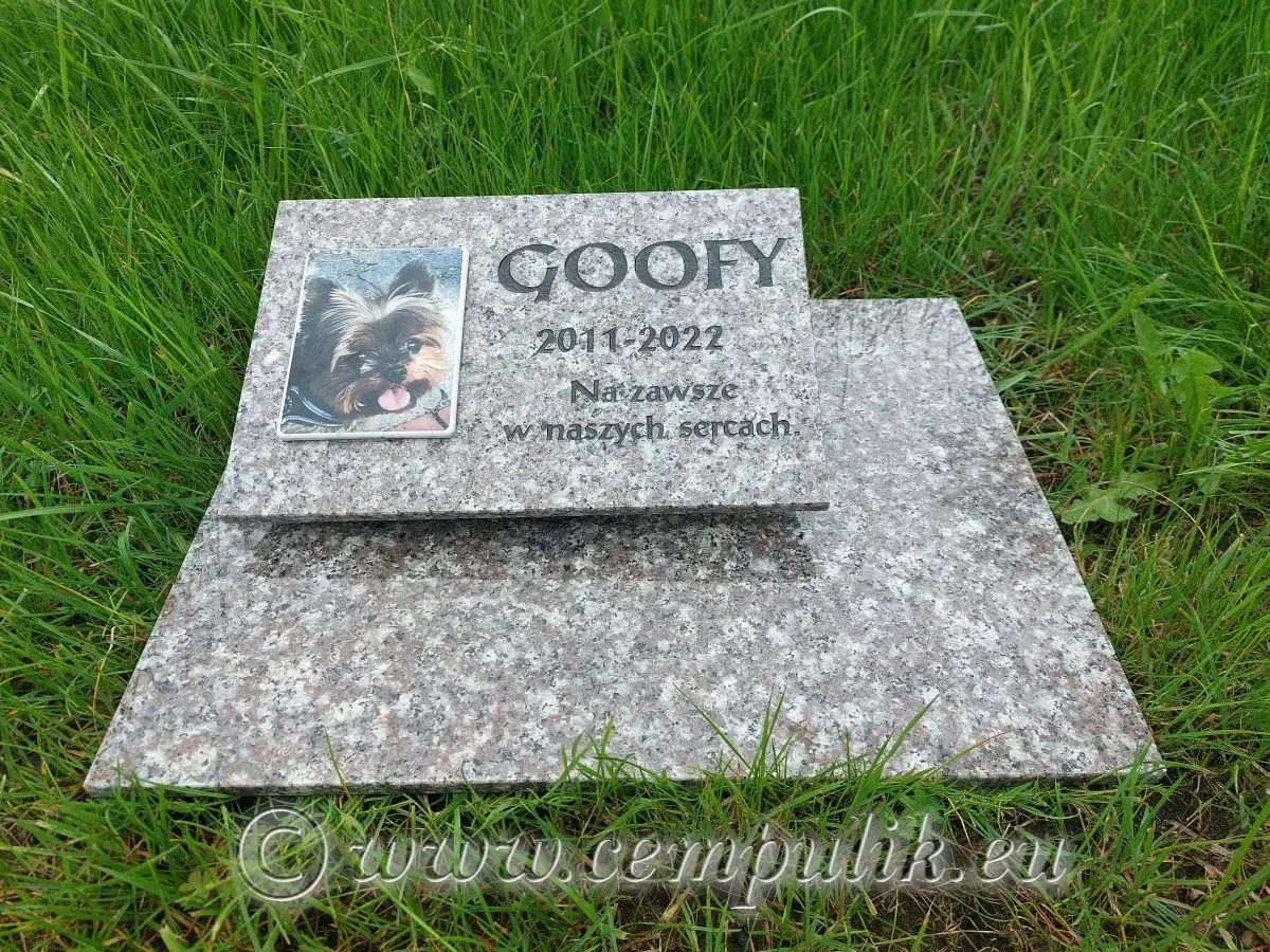 Kremowy Nagrobek dla psa- zestaw goofy ze zdjęciem i napisem