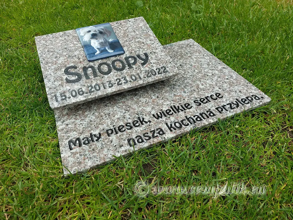 Kremowy Nagrobek dla psa - przykład snoopy