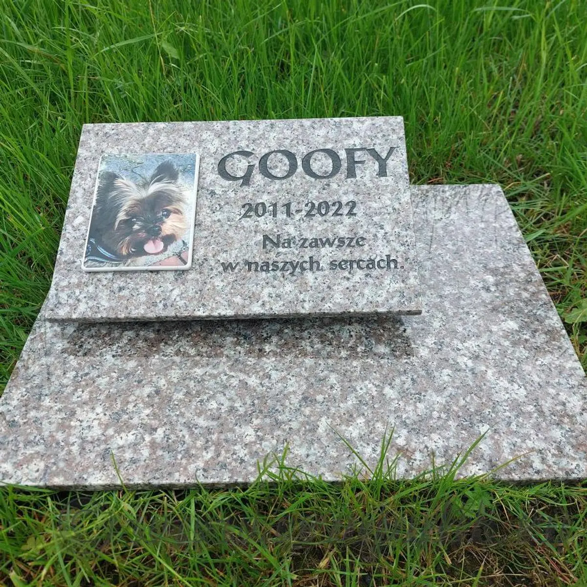 Kremowy nagrobek dla psa lub kota — Duży rozmiar