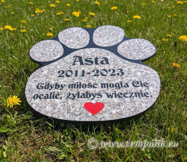 Brown Paw-Shaped Pet Memorial Headstone for Dogs - Image 4